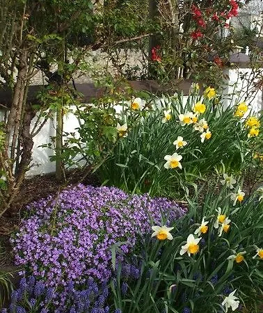 Hotel Mena House Kilkenny