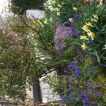 Mena House 3* Kilkenny