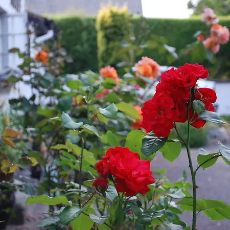 Mena House 3* Kilkenny