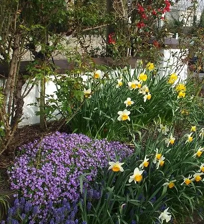 Hotel Mena House Kilkenny