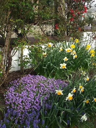 Hotel Mena House Kilkenny