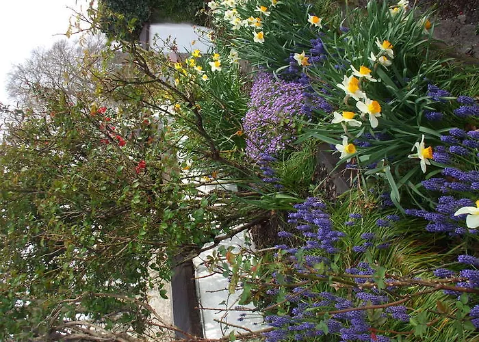 Mena House 3* Kilkenny