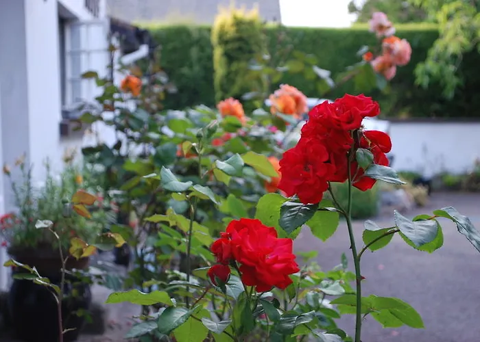 Mena House 3* Kilkenny