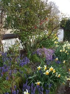 Mena House 3* Kilkenny