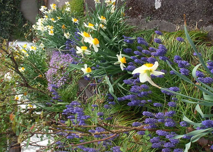 Szálloda Mena House